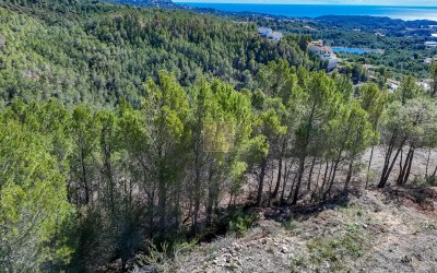 Urban plot with beautiful sea views.