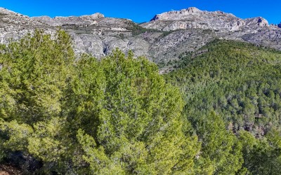 Urban plot with beautiful sea views.